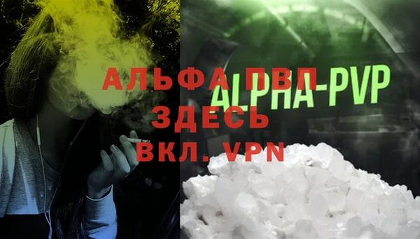 дмт Магас