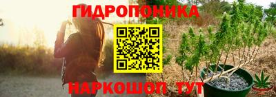 шишки Апшеронск