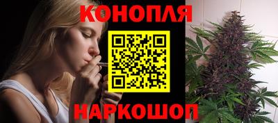 Альфа ПВП Аргун
