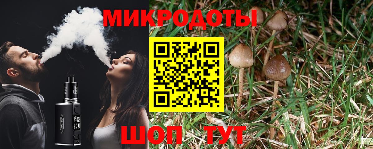 Псилоцибиновые грибы прущие грибы  Галлюциногенные грибы мицелий  Вход с VPN  Барнаул 